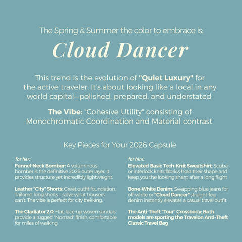 Anti-Theft Classic Travel Bag