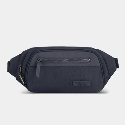 anti-theft metro waist pack