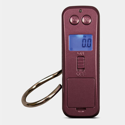 FREETOO Luggage Scale Review! Worth it? 